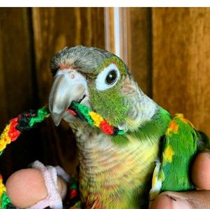 Meet your Posher, Christian